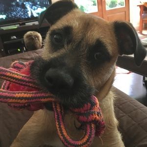 Meet your Posher, Angela